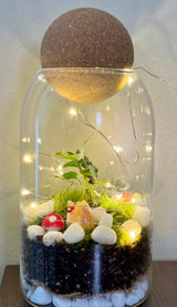 A single completed terrarium with lush green plants and moss inside a large glass container, created during a virtual terrarium workshop for teams. The well-arranged plants and natural elements reflect the creativity achieved in the workshop.