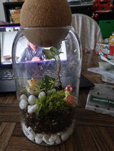 A terrarium with plants and moss inside a clear glass jar, made during a virtual terrarium workshop for teams.