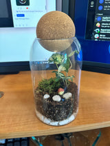 A terrarium with green plants and moss inside a large glass container, made during a virtual terrarium workshop for teams. The design shows a neat and natural arrangement of plants.