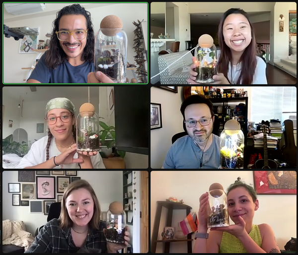 virtual terrarium workshop