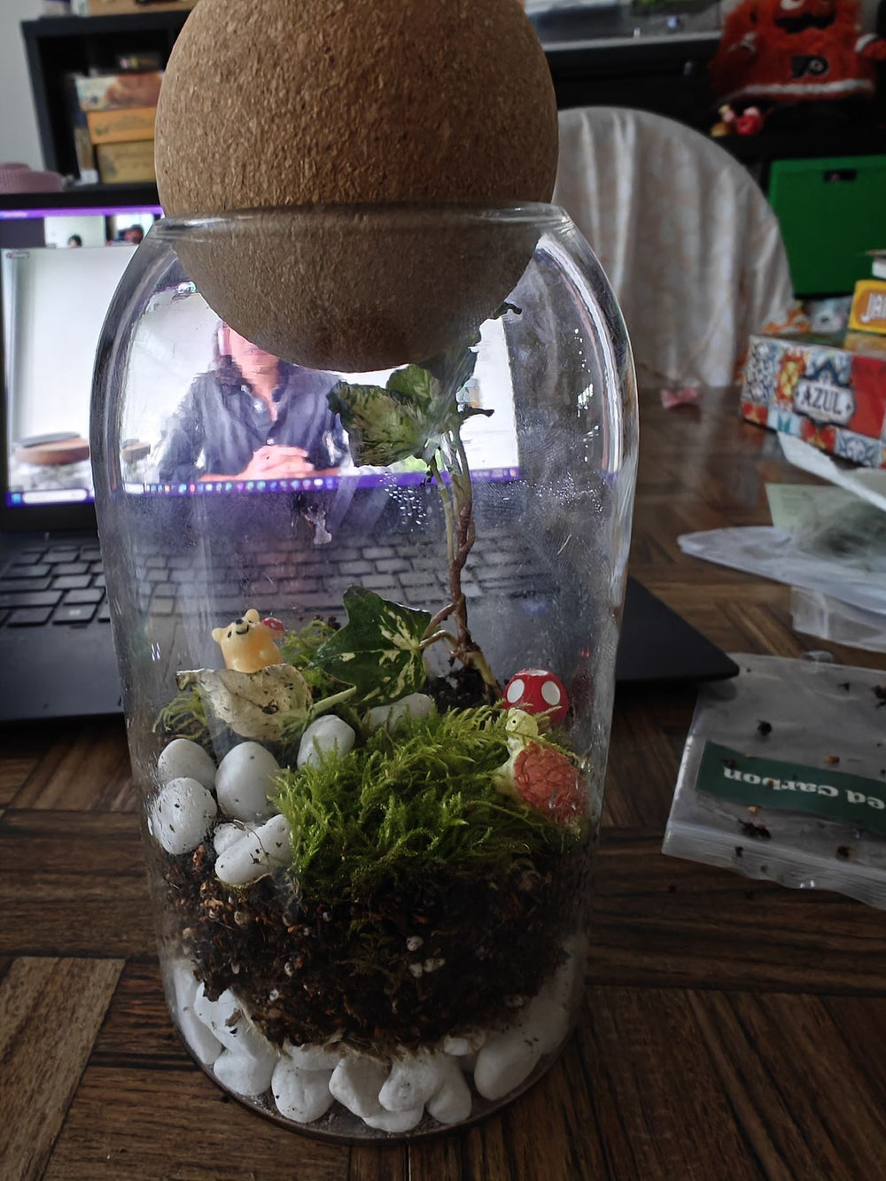 virtual-terrarium-workshop-review-photo