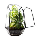 Geometric glass terrarium with open door, showcasing lush green plants inside. Perfect for arts and crafts projects or as a decorative craft kit for creating miniature indoor gardens, Glass Terrarium Containers