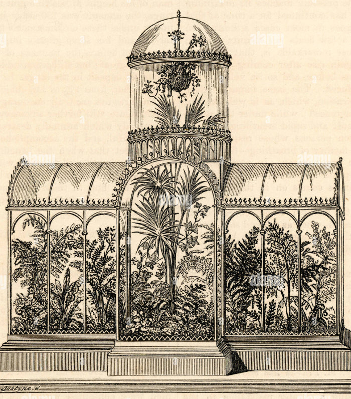 The Wardian Case (1830s)