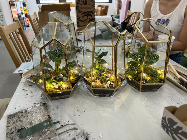 The Signature Terrarium Workshop