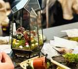 A terrarium kit with a glass container displaying a miniature garden scene with live moss, succulents, and other natural elements, Closed Terrarium Kits