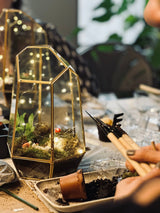 wardian case terrarium with fairy lights