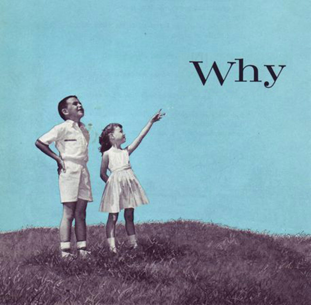 Return to Curiosity, Not Performance