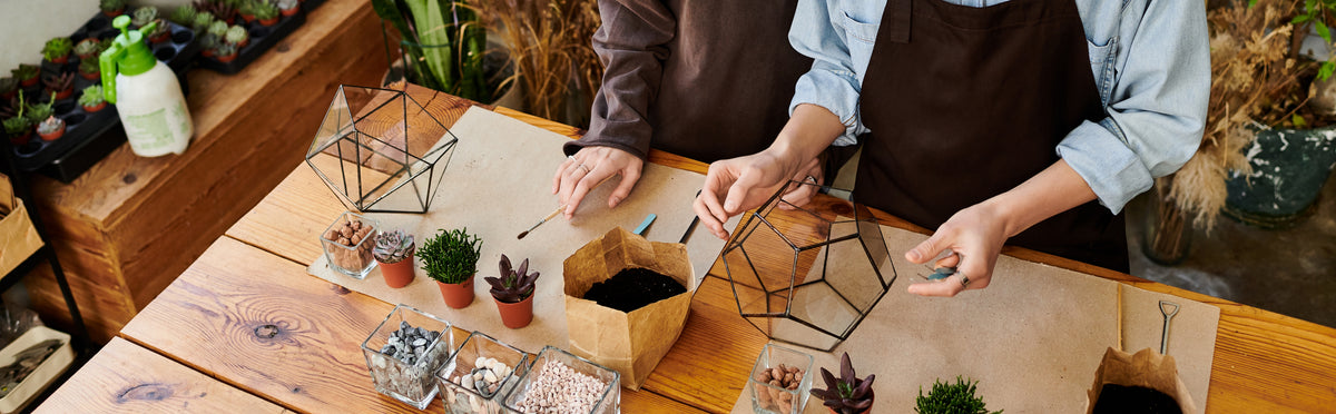 A couple building a terrarium together